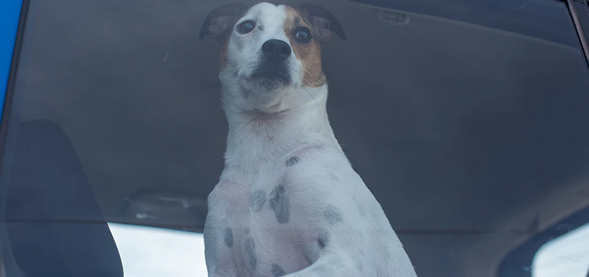 Car Lockout Solutions in Rio Linda, California